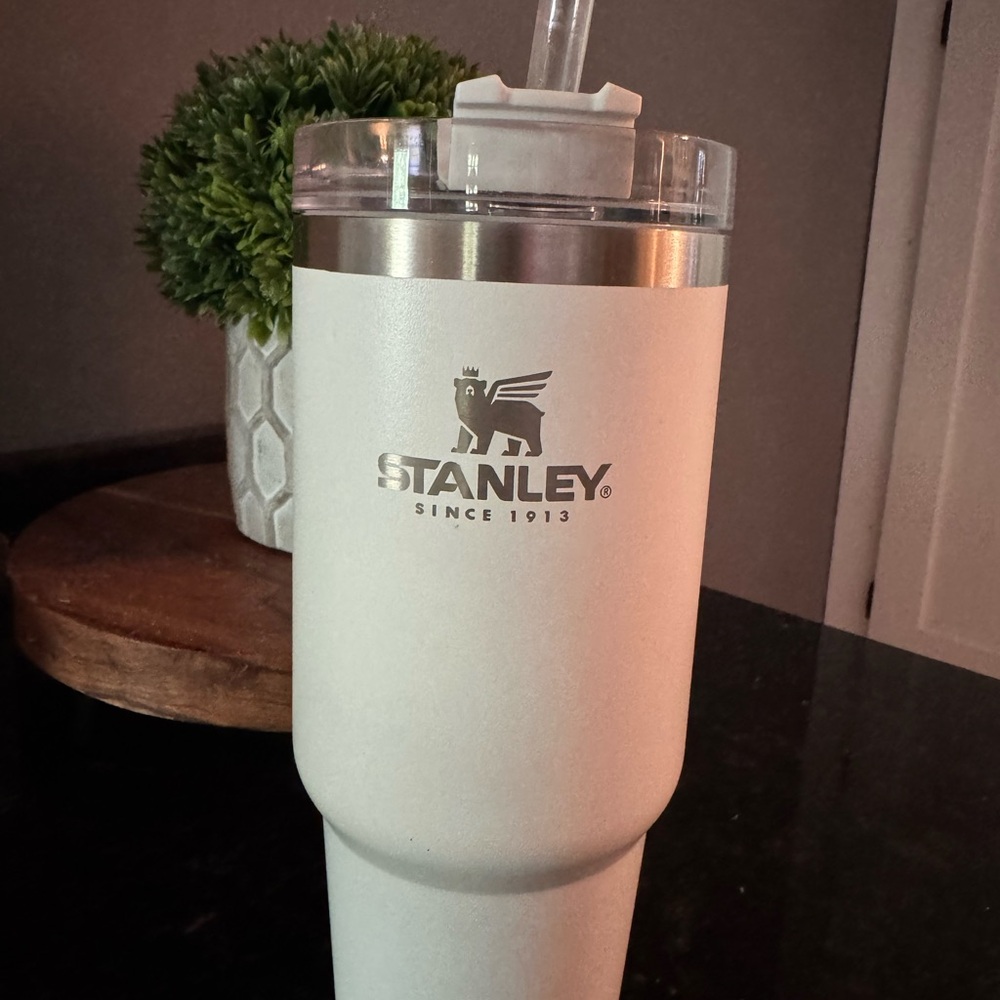 Stanley White Water Bottle